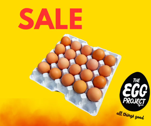 tray of 20 Jumbo Free Range Eggs